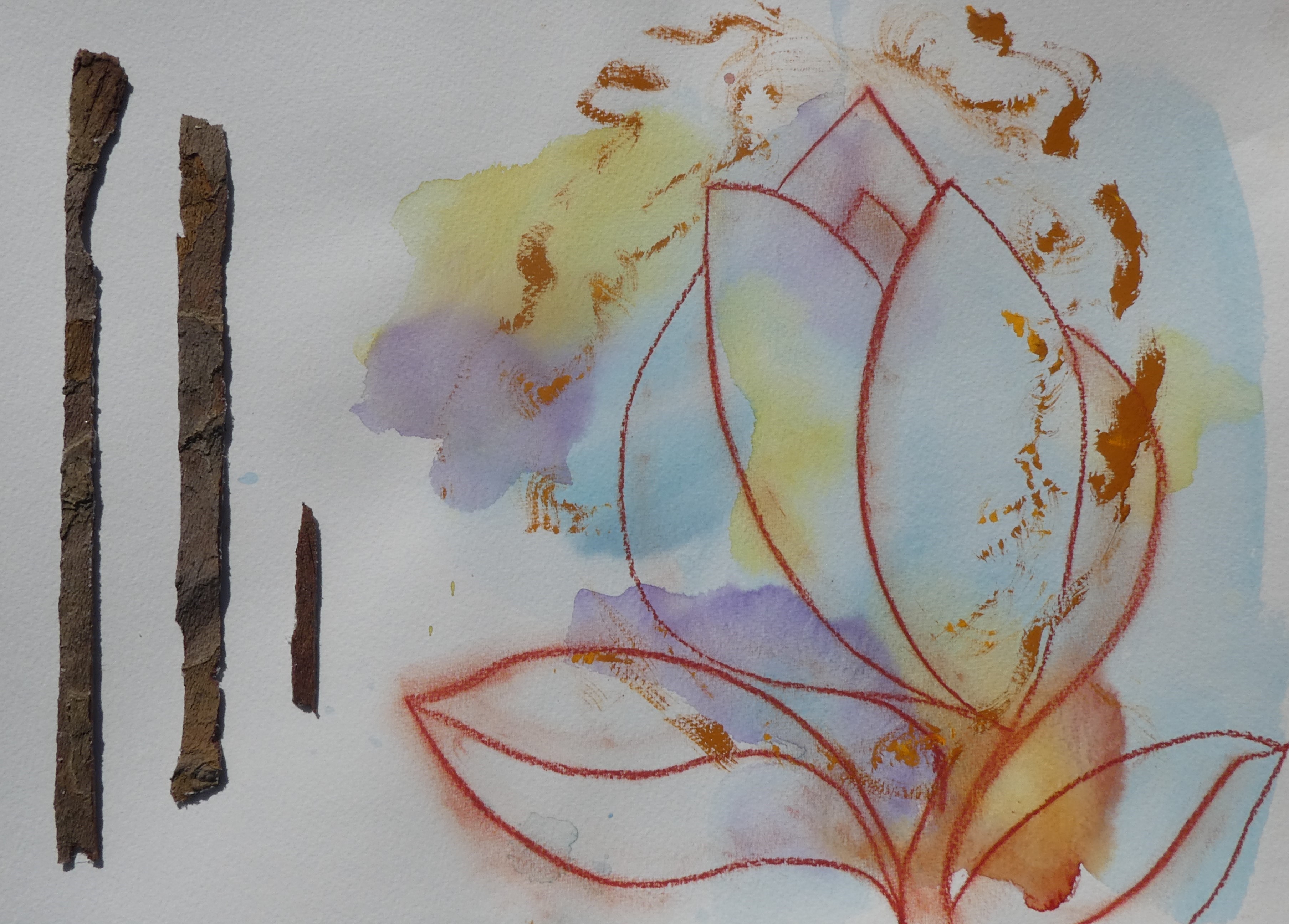 Bark, painting and tulip drawing I